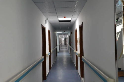 尊享晚年 品质生活——高端大气养老中心即将盛大启幕