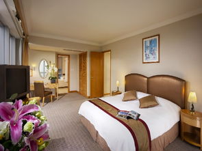 高效搜寻理想住宿服务的策略指南